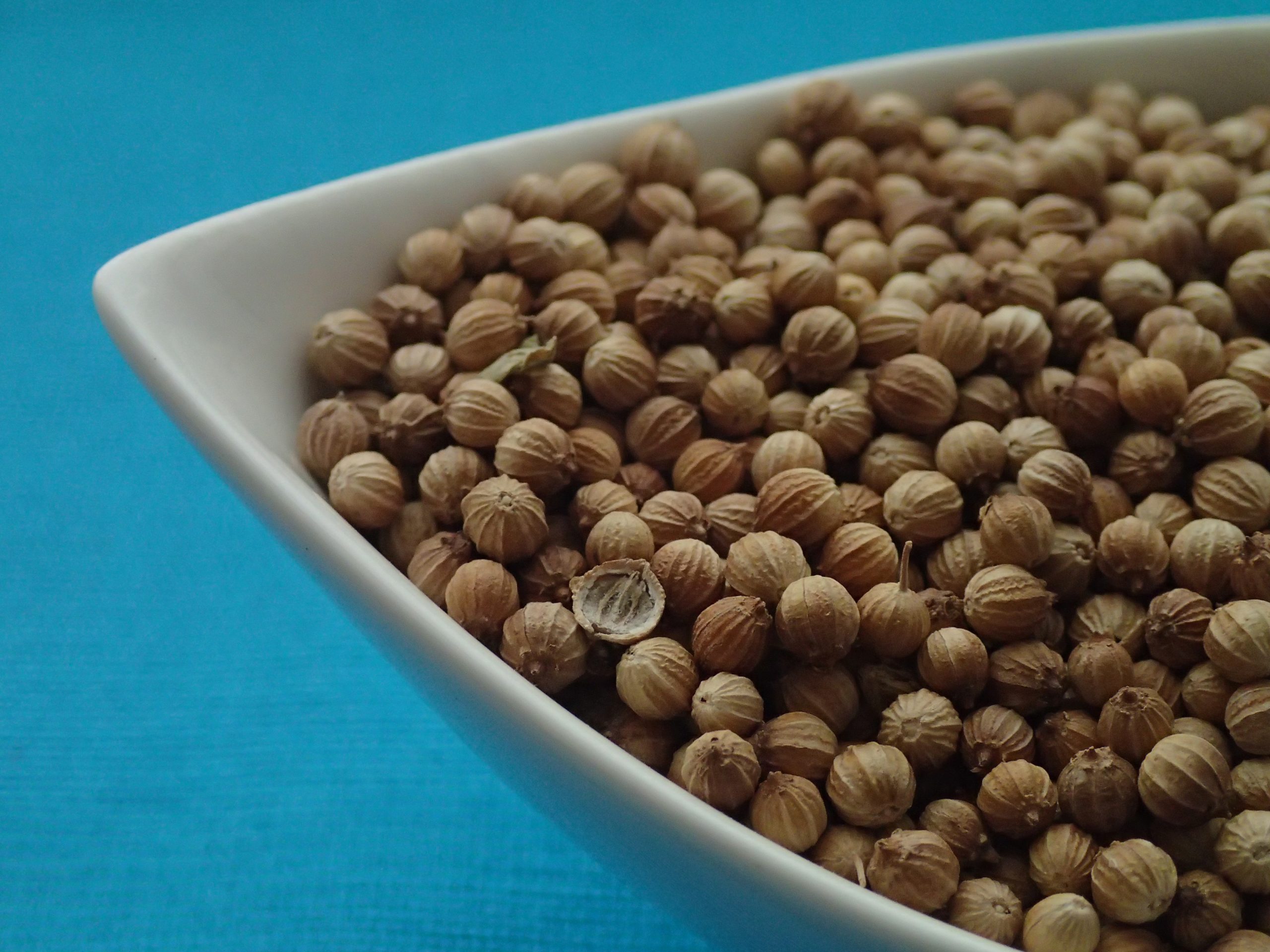 OLYMPUS DIGITAL CAMERA OLYMPUS DIGITAL CAMERA