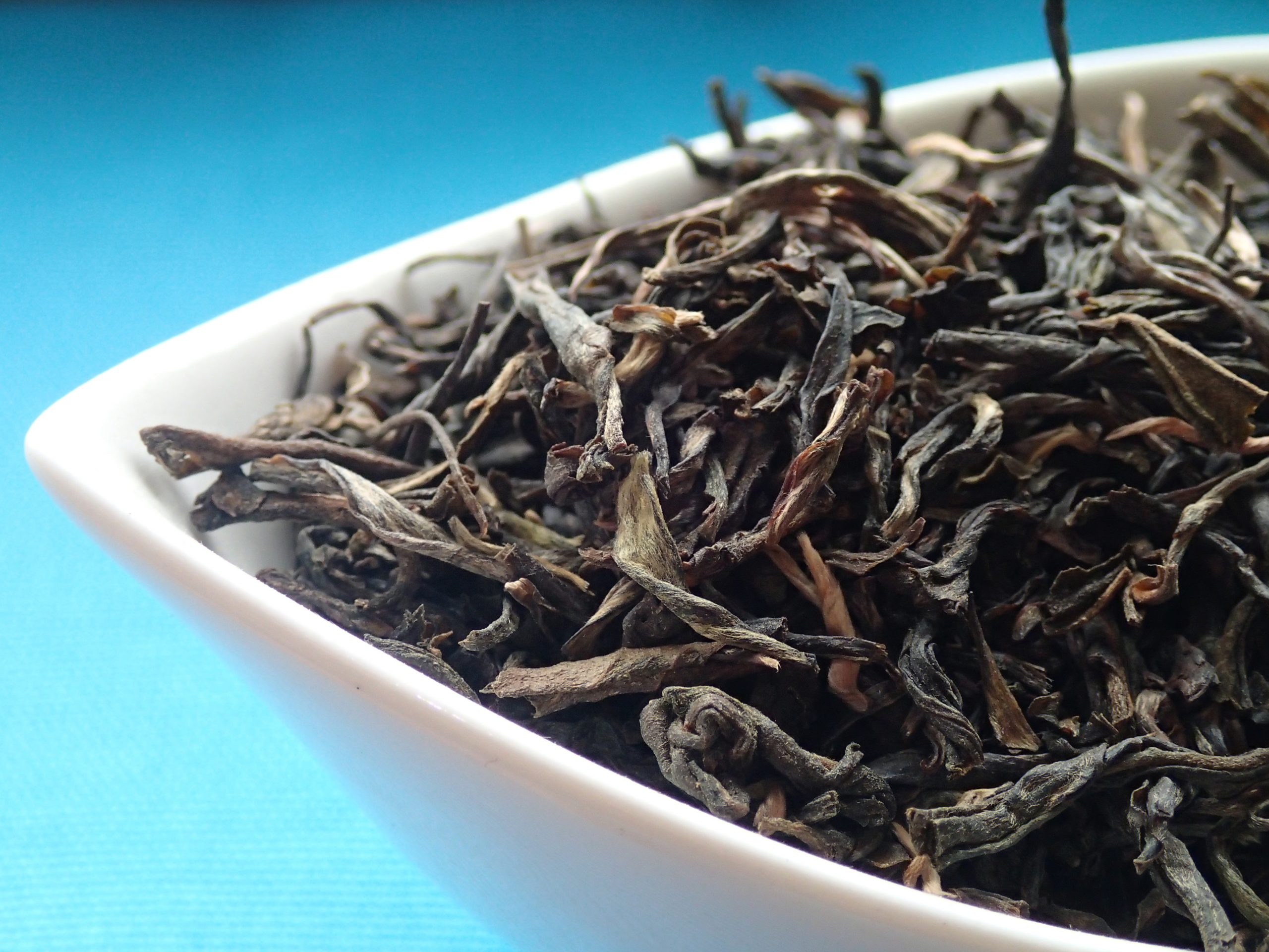 OLYMPUS DIGITAL CAMERA OLYMPUS DIGITAL CAMERA