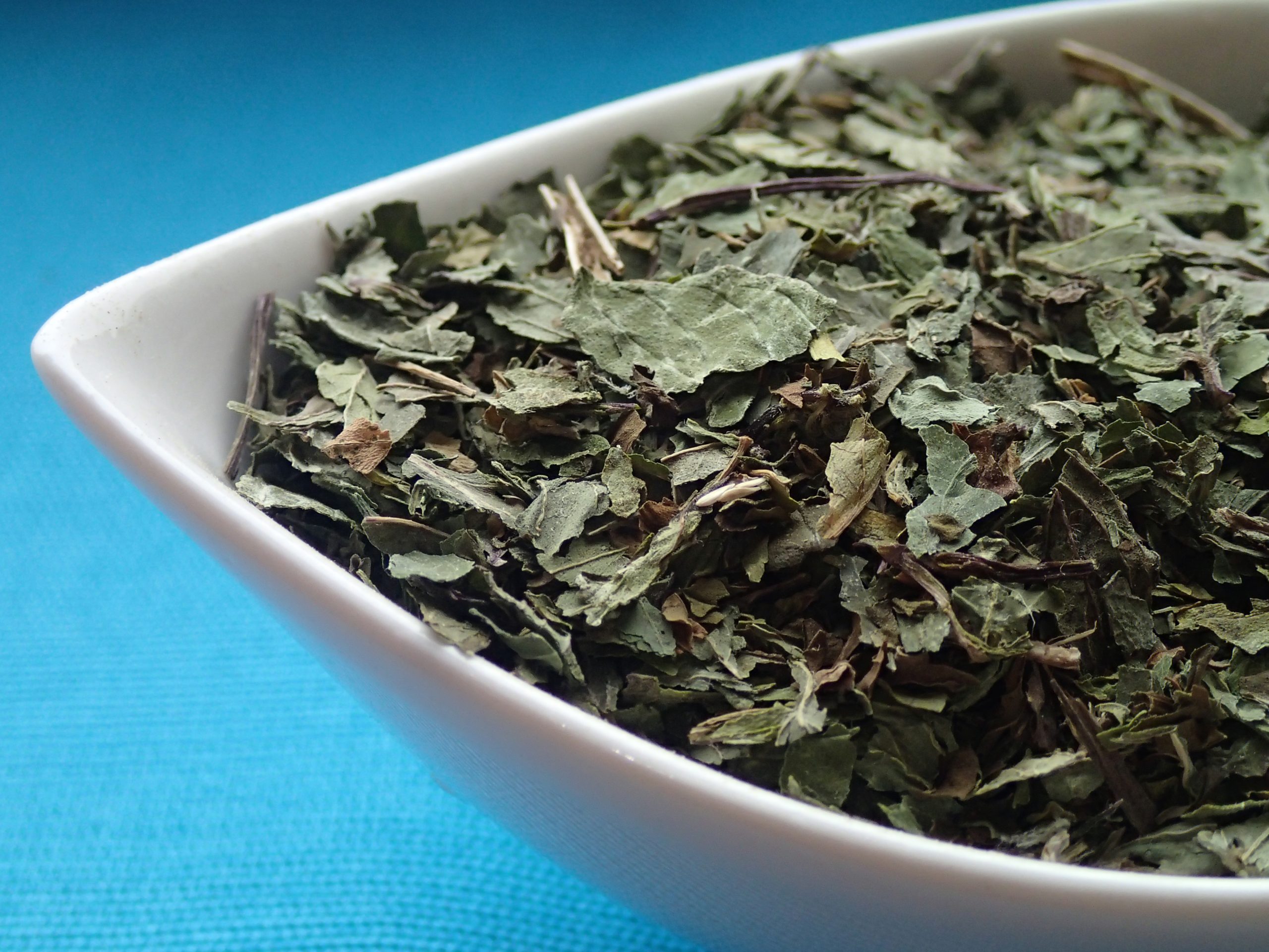 OLYMPUS DIGITAL CAMERA OLYMPUS DIGITAL CAMERA